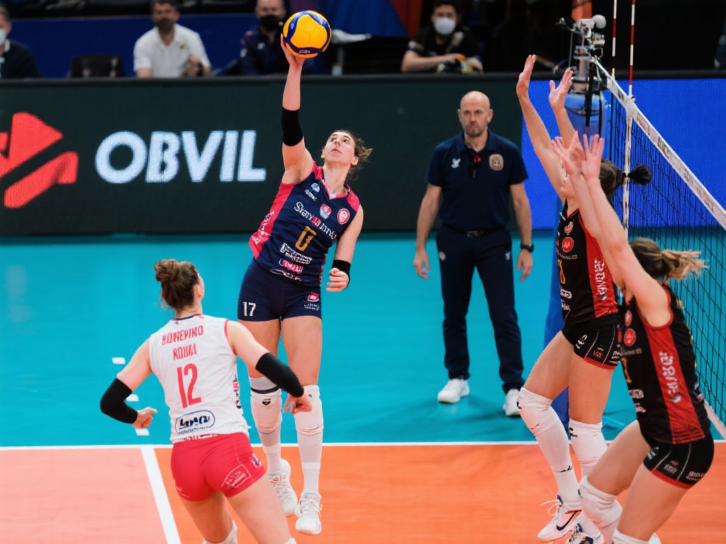 了大力支持 了大力支持